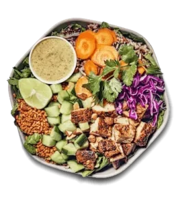Crispy Rice Bowl