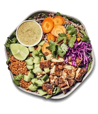 Crispy Rice Bowl