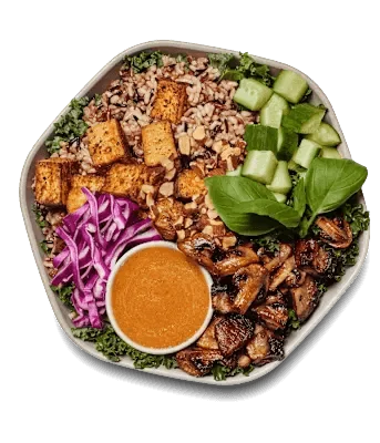 Shroomami Bowl